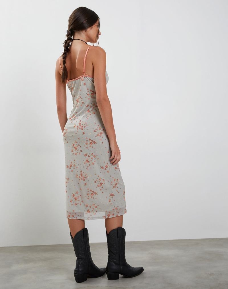 Women's Motel Rocks Camelia Mid Midi Dress Blue Rose | ASV3951VZ
